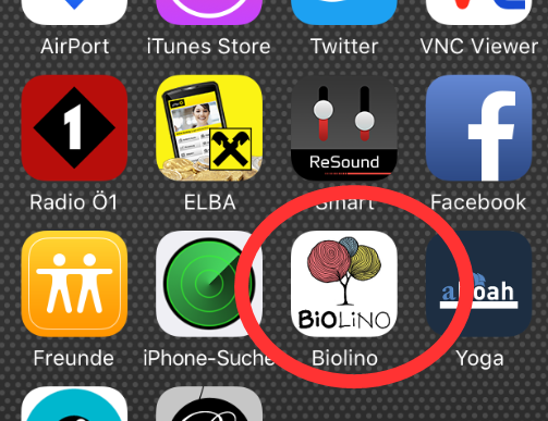 Iphone icon.png